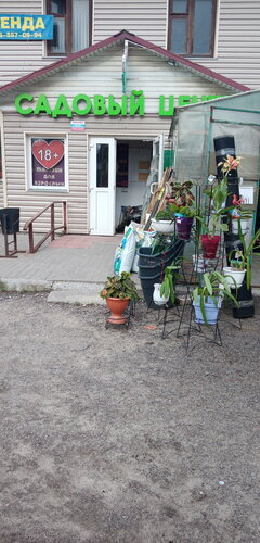 Цветополис, садовый центр, Внуковская ул., 50, Дмитров — Яндекс Карты