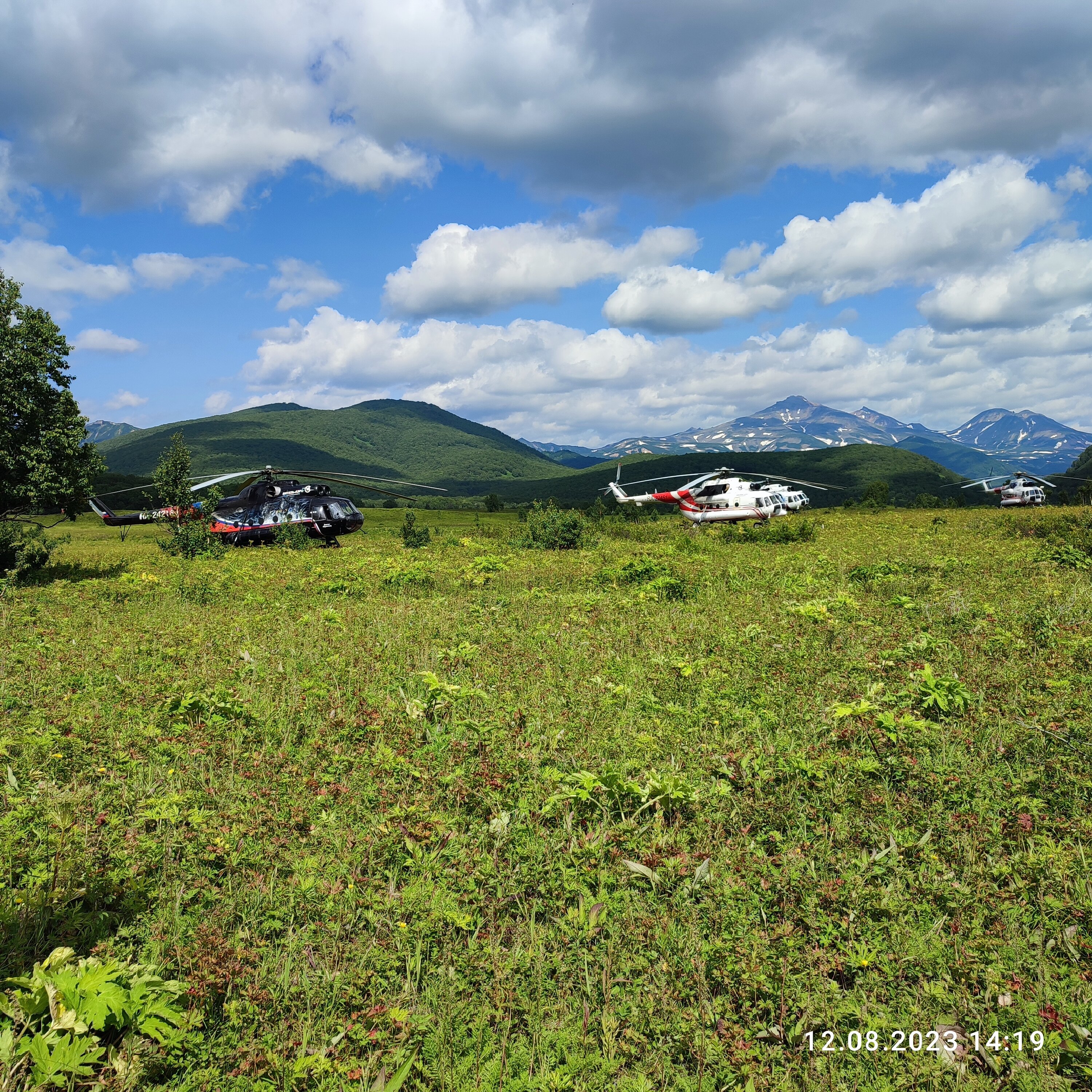 Фото Антариус