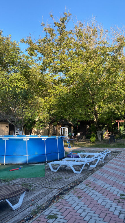 Фото Сосновый Бор