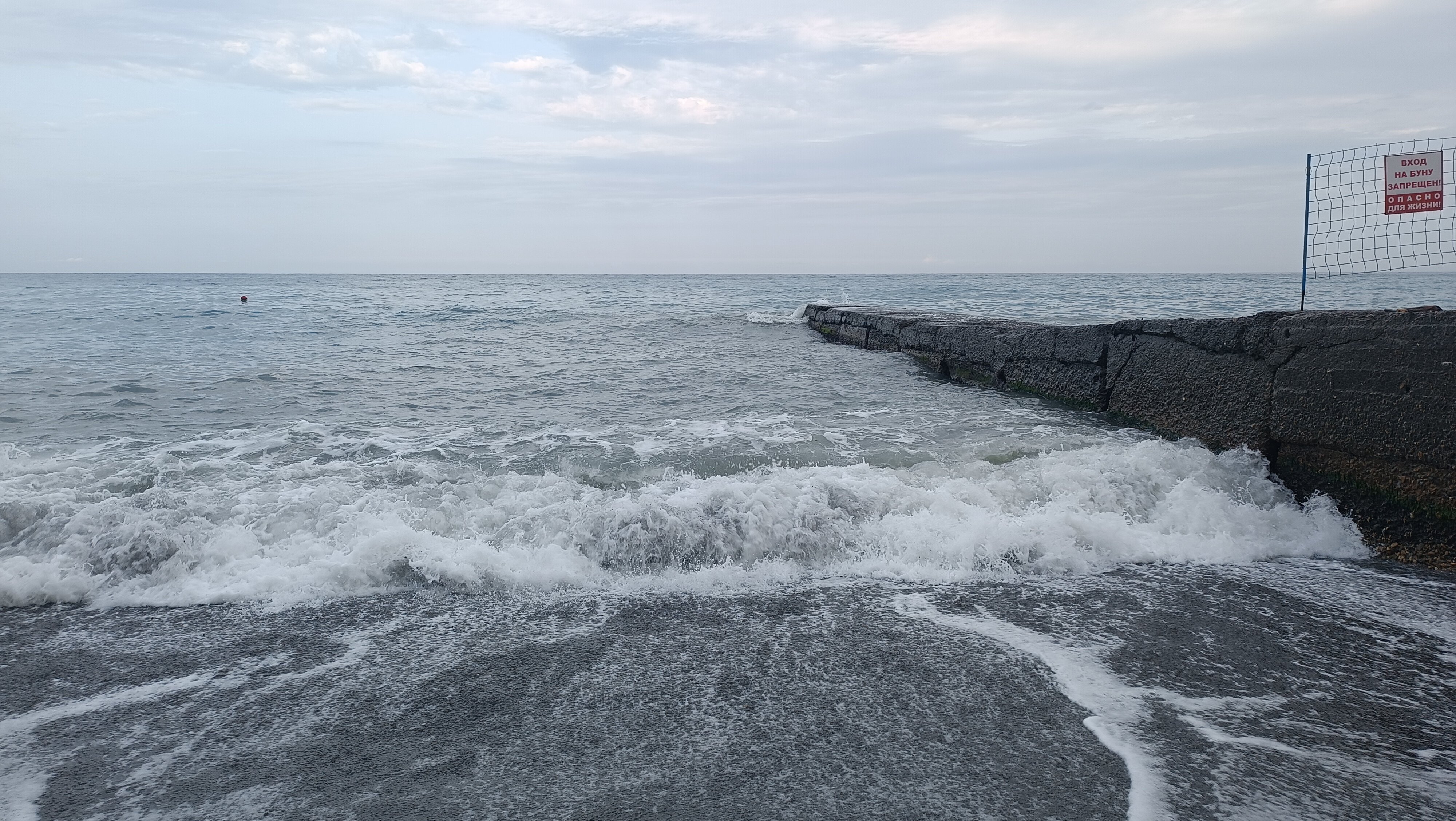 Фото Альбатрос