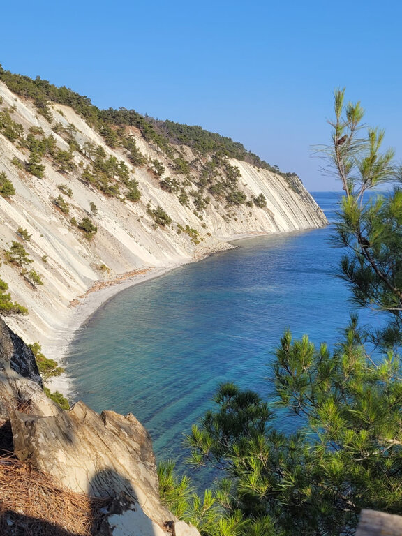 Фото Лесное местечко