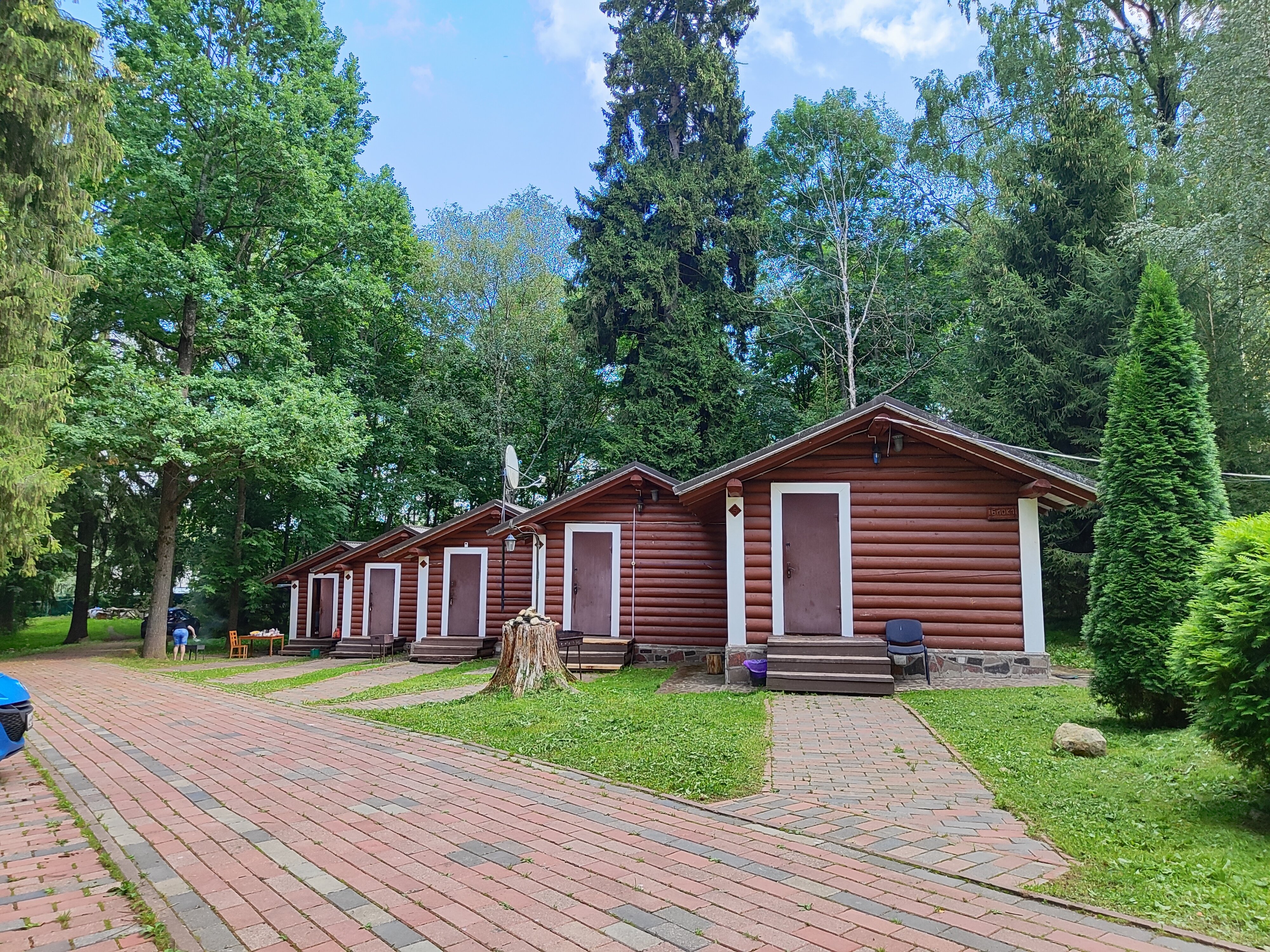 Фото Берёзовая роща