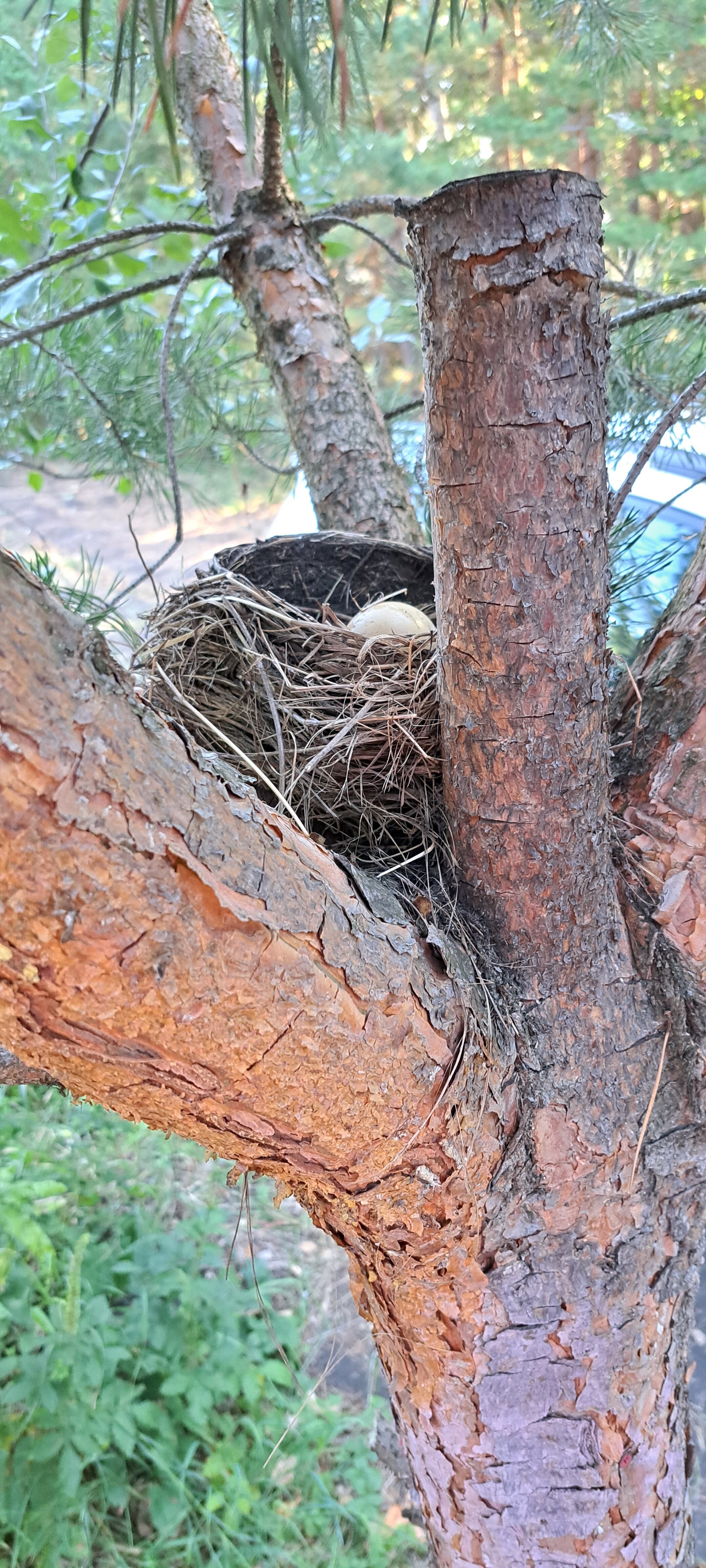 Фото ZeБирск