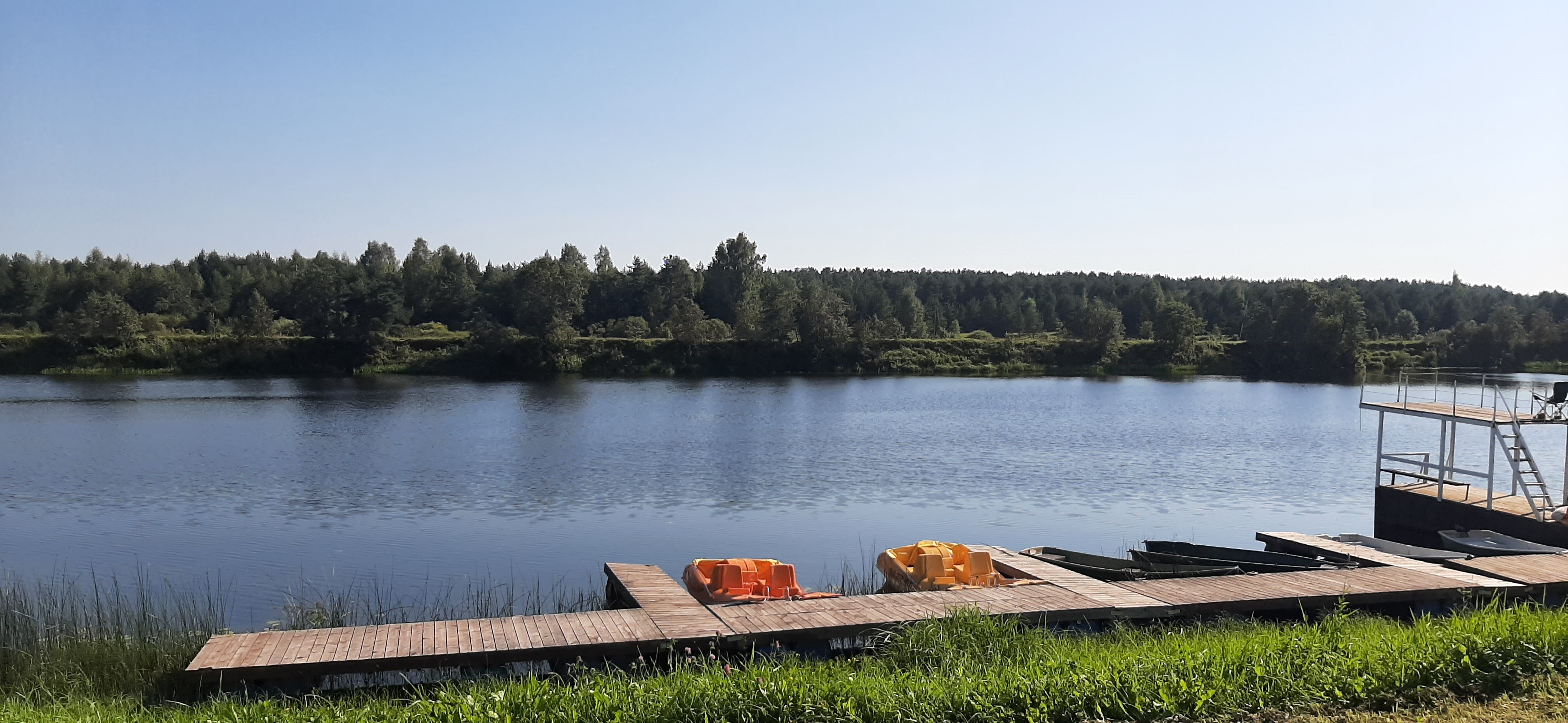 Фото Медведица Шанти