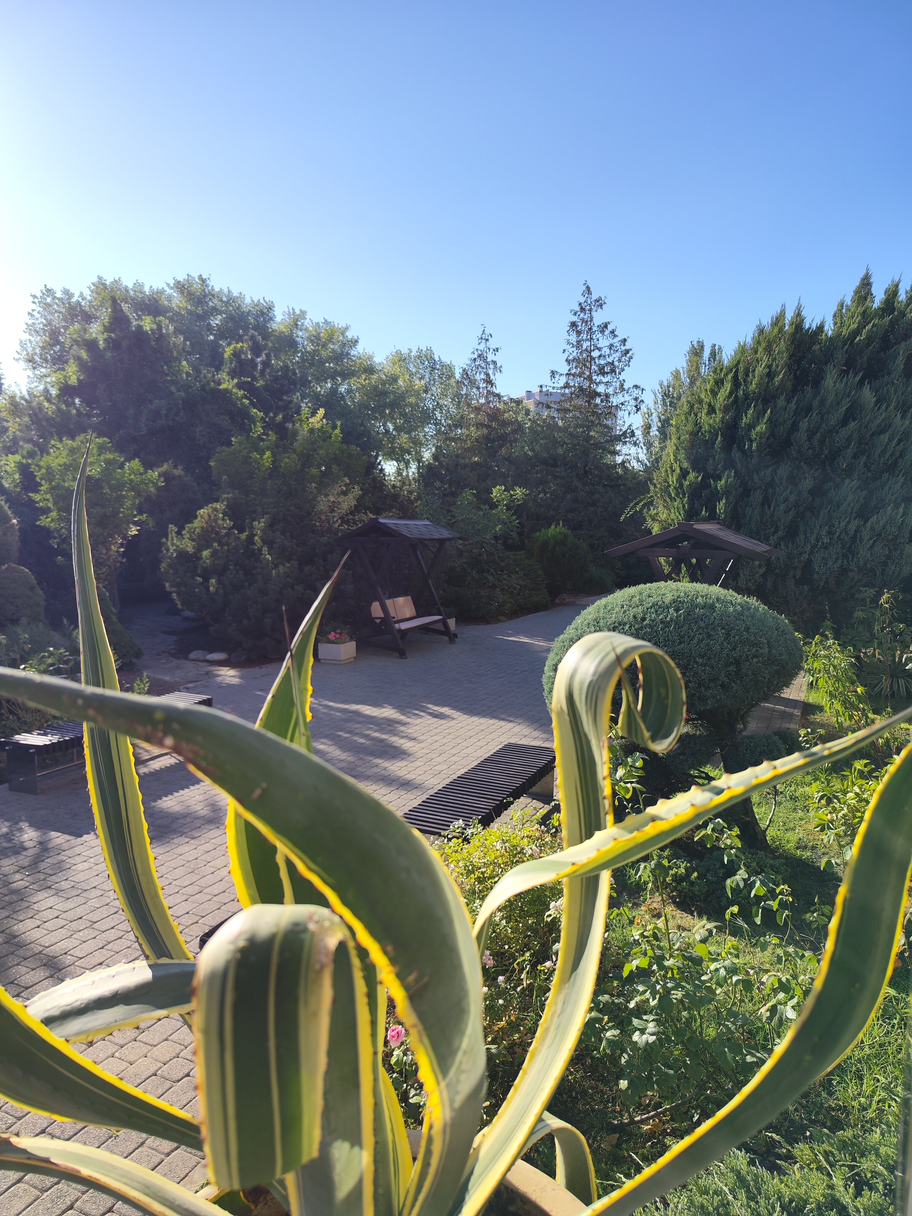 Фото Пансионат Анапа-Лазурная