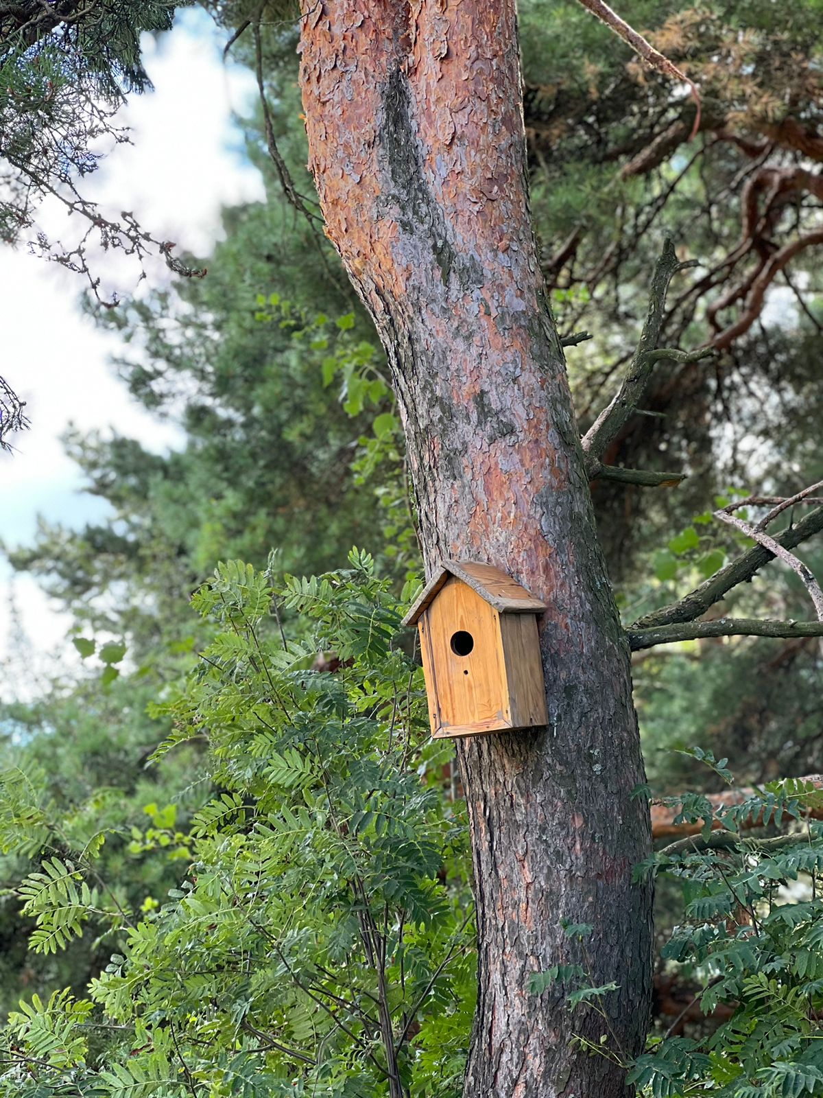 Фото Экопарк Богослово