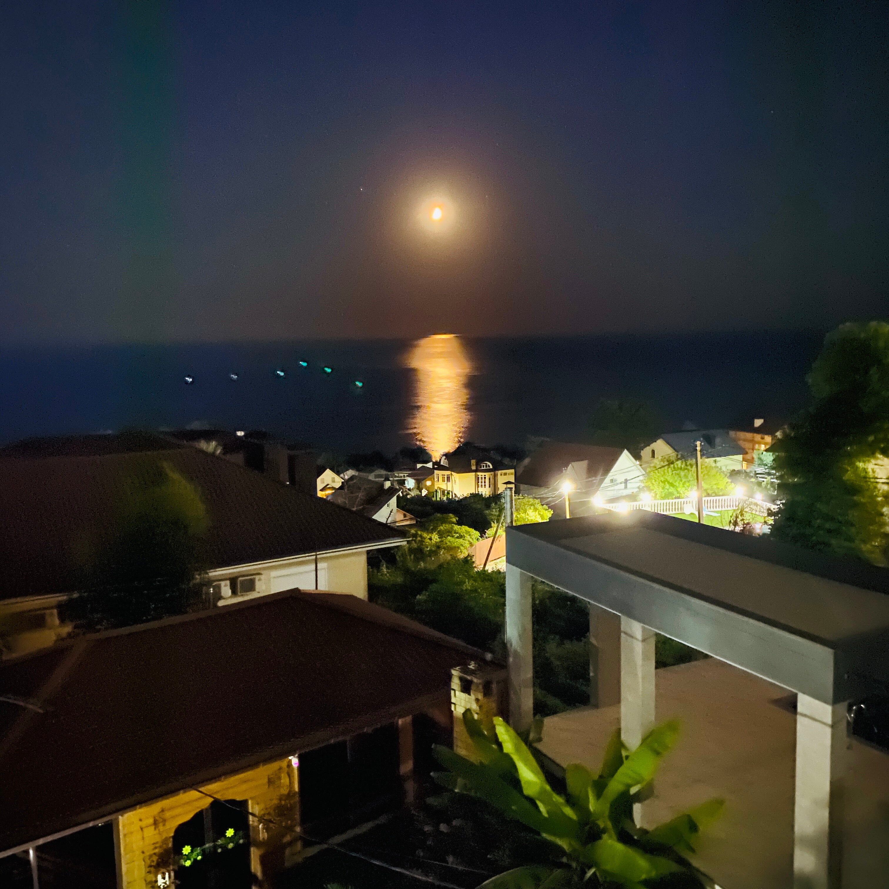 Фото Династия