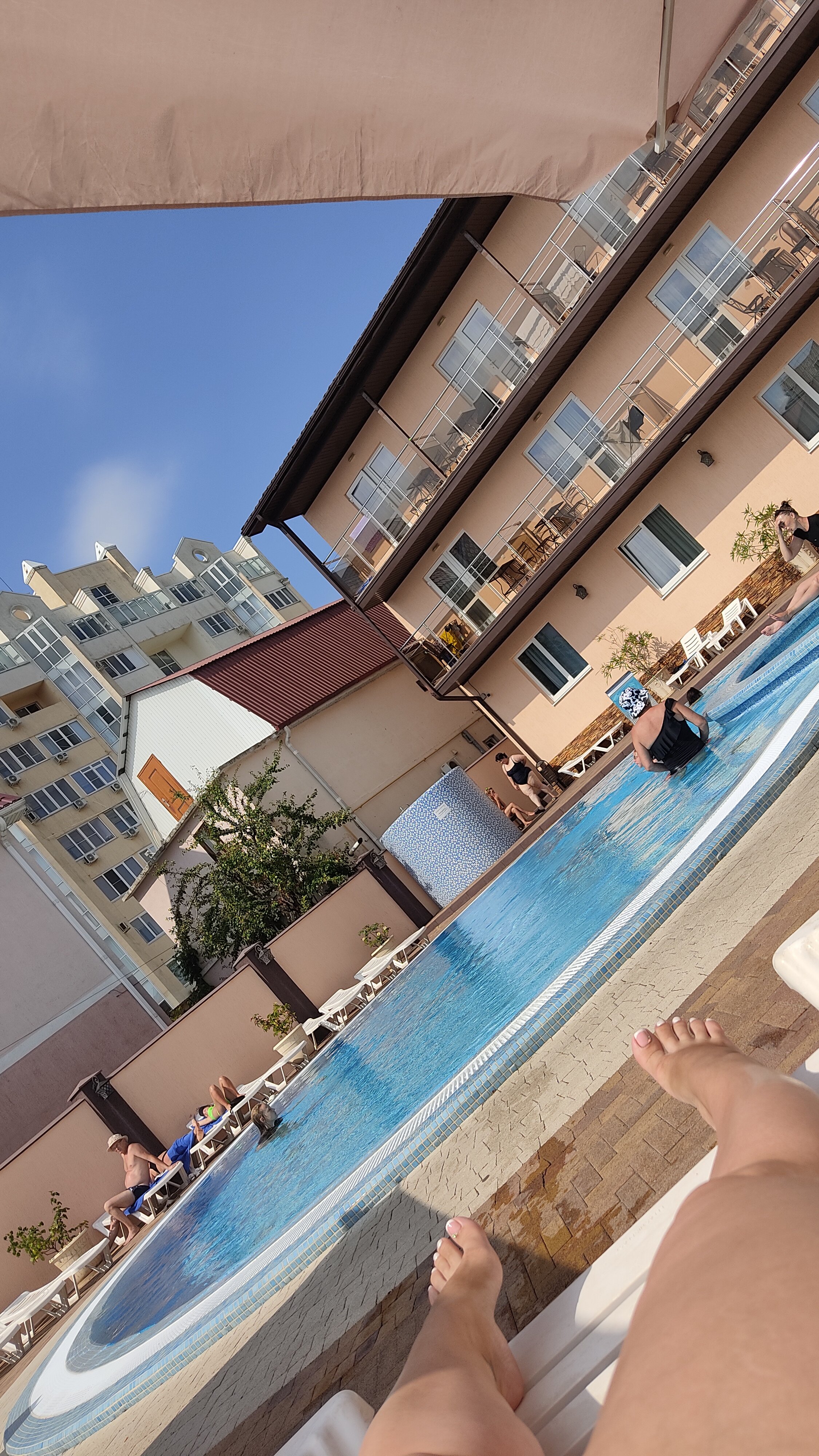 Фото Кипарис