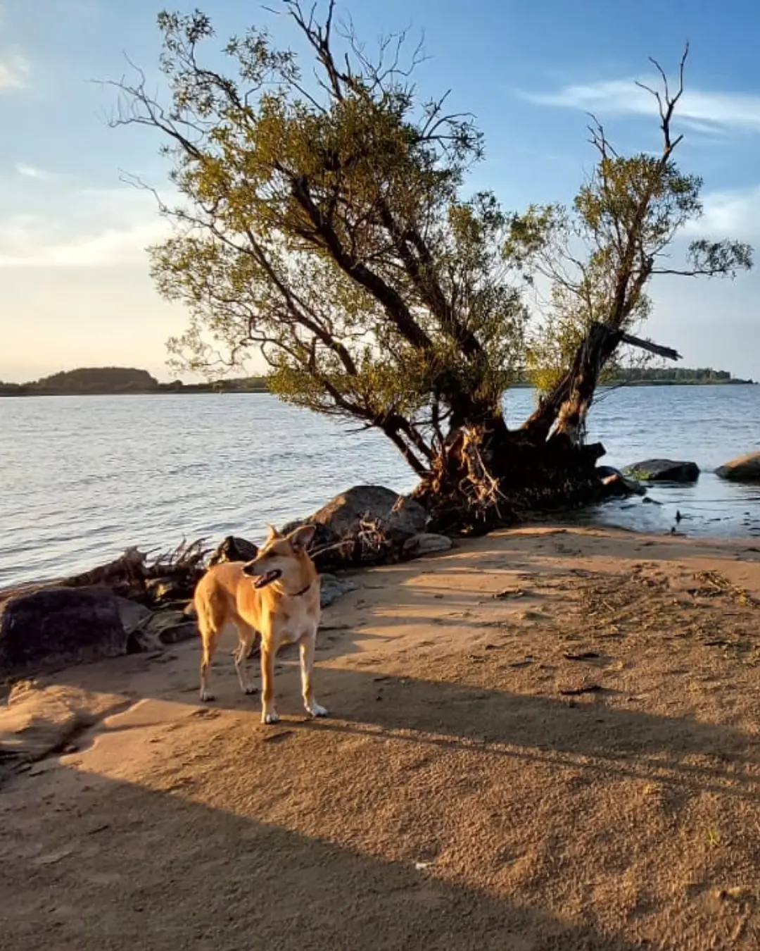 Фото Природный комплекс Ветрено