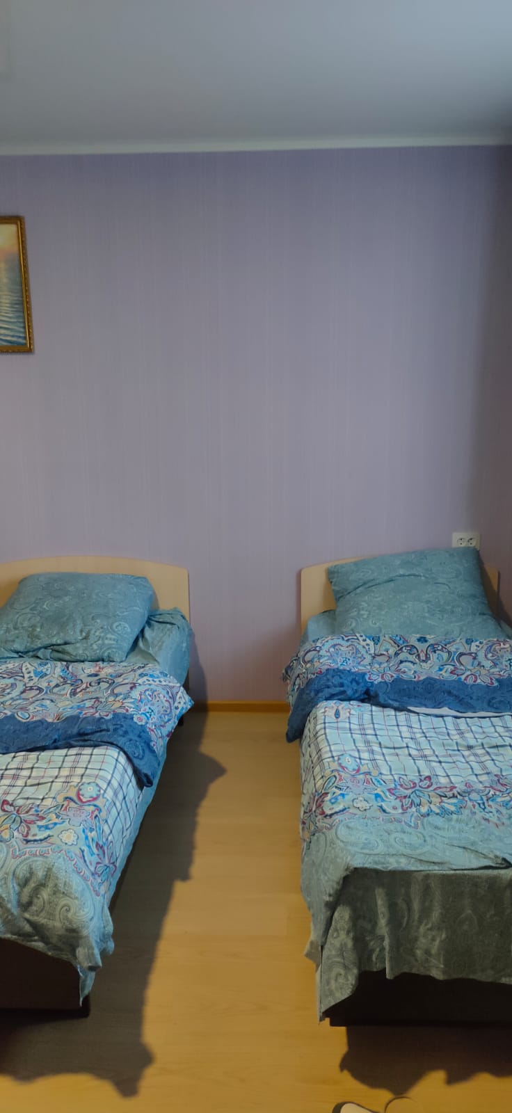 Фото Березка