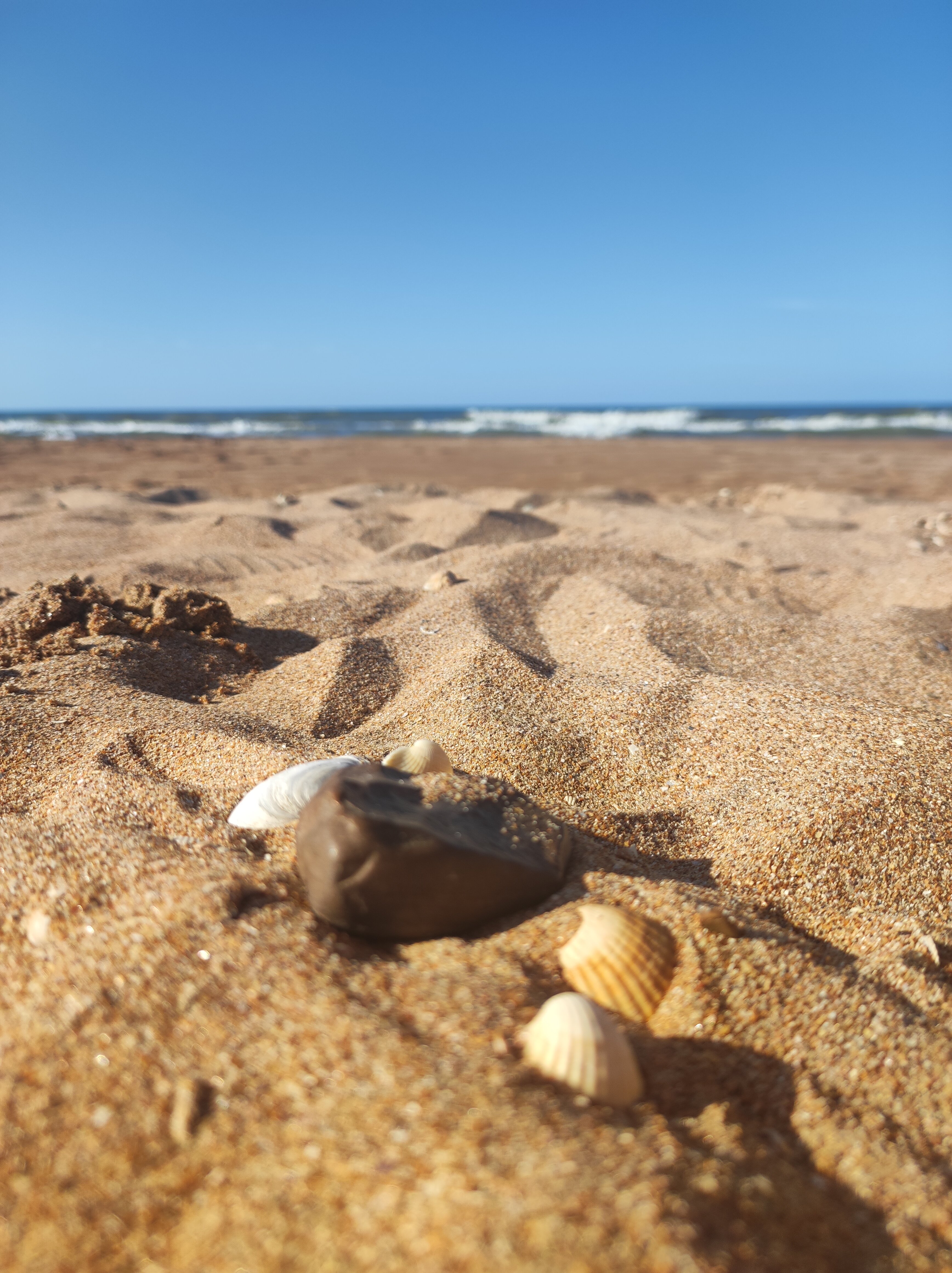 Фото Белая дача