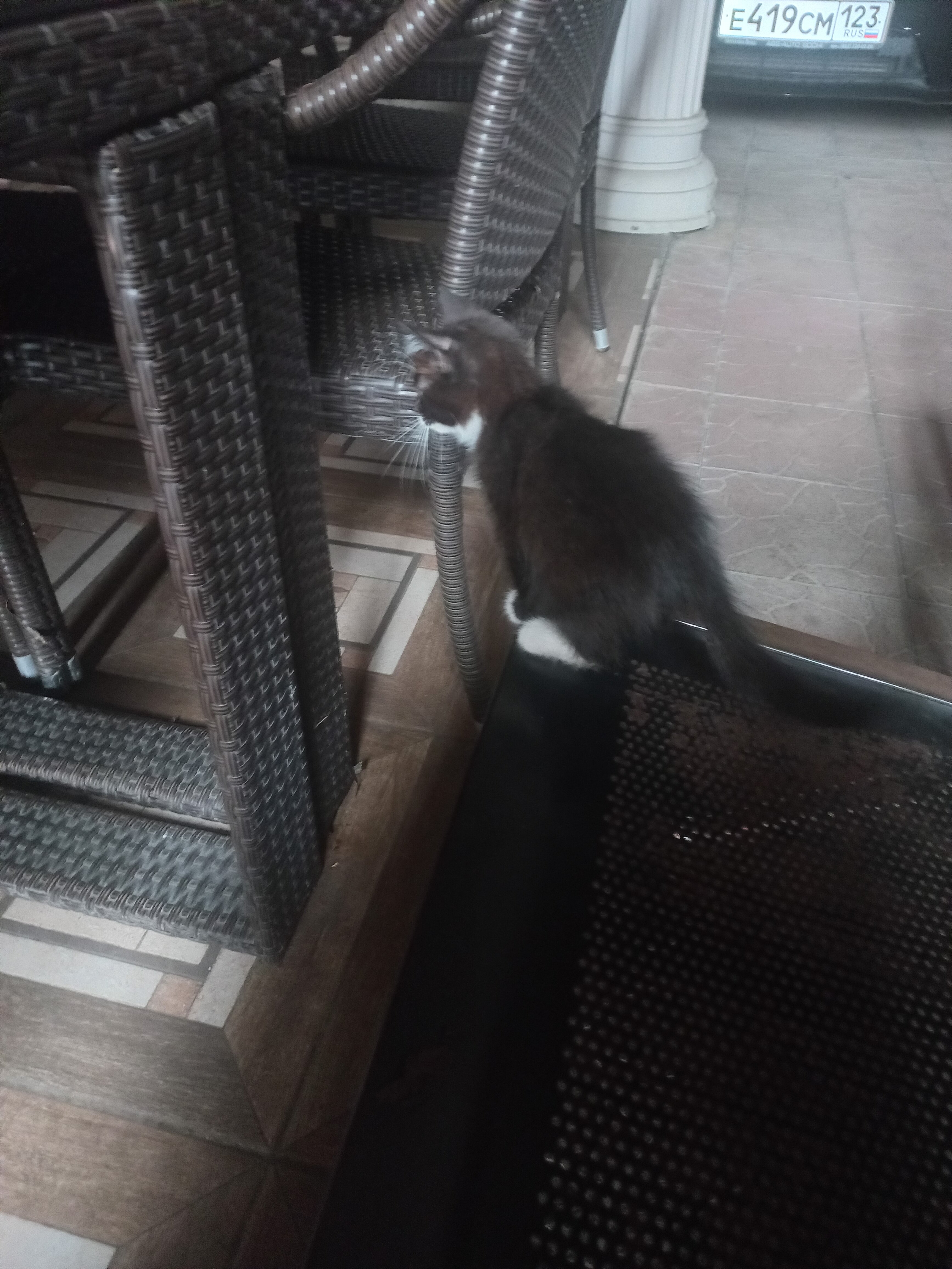 Фото Гагра Лазурная