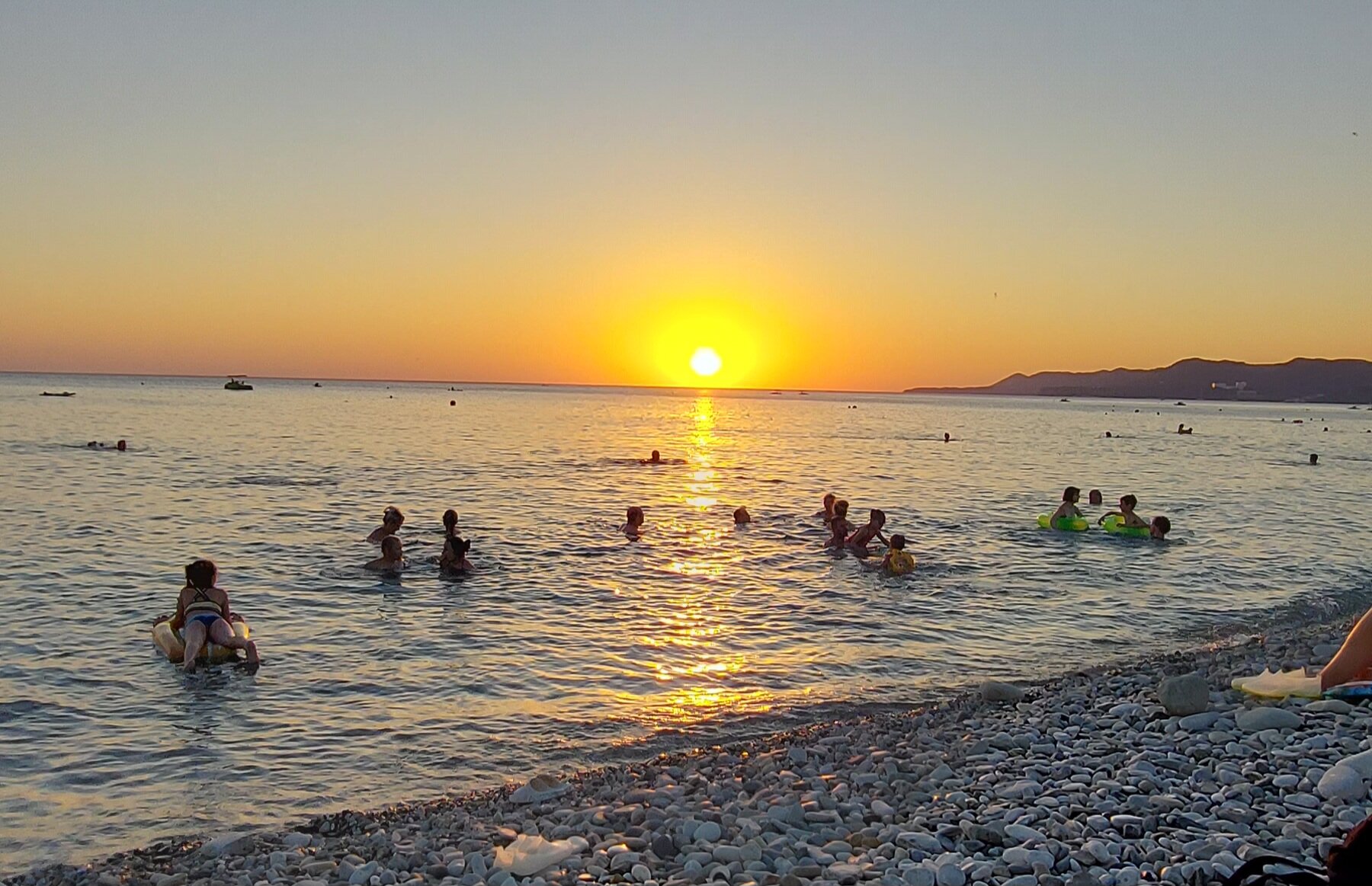 Фото Ежевика