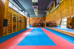 Central Karate School (Profsoyuznaya Street, 62к5), sports club
