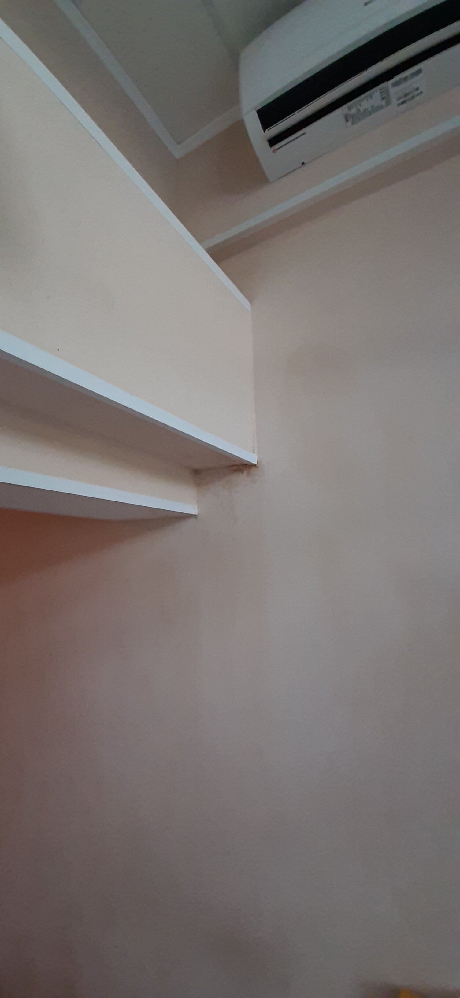 Фото Стрелец