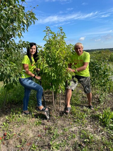 Fidan yetiştiriciliği Райский чудо сад, Minskaya oblastı, foto