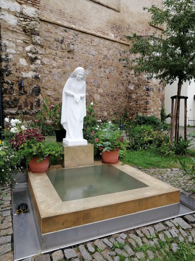 Catholic church Cathedral of St. Peter and Paul, Brno, Brno, photo
