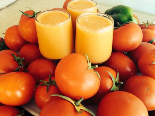 Фото Hotel URH Excelsior