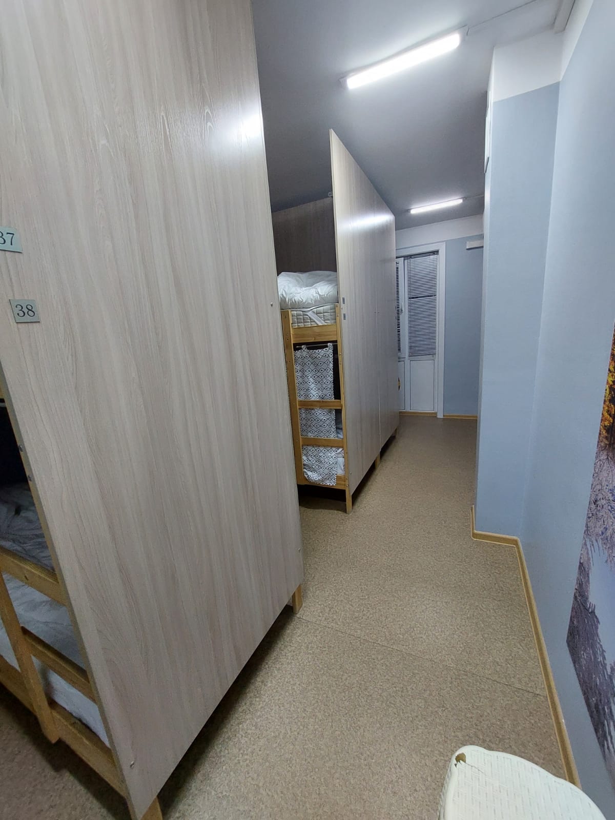 Фото Овсянка