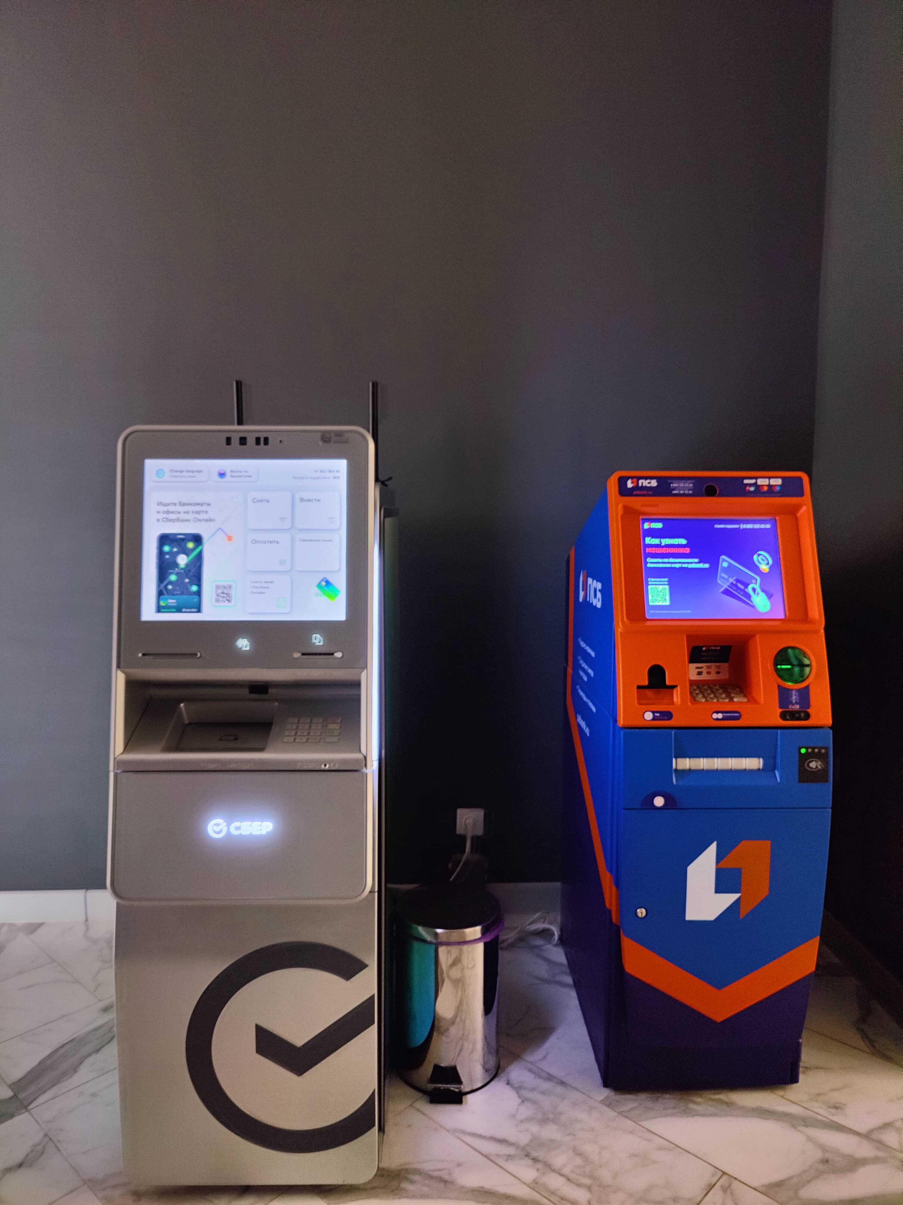 Фото Эдельвейс