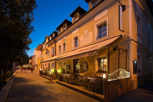 Гостиница Fonte Hotel and Restaurant в Дьёре