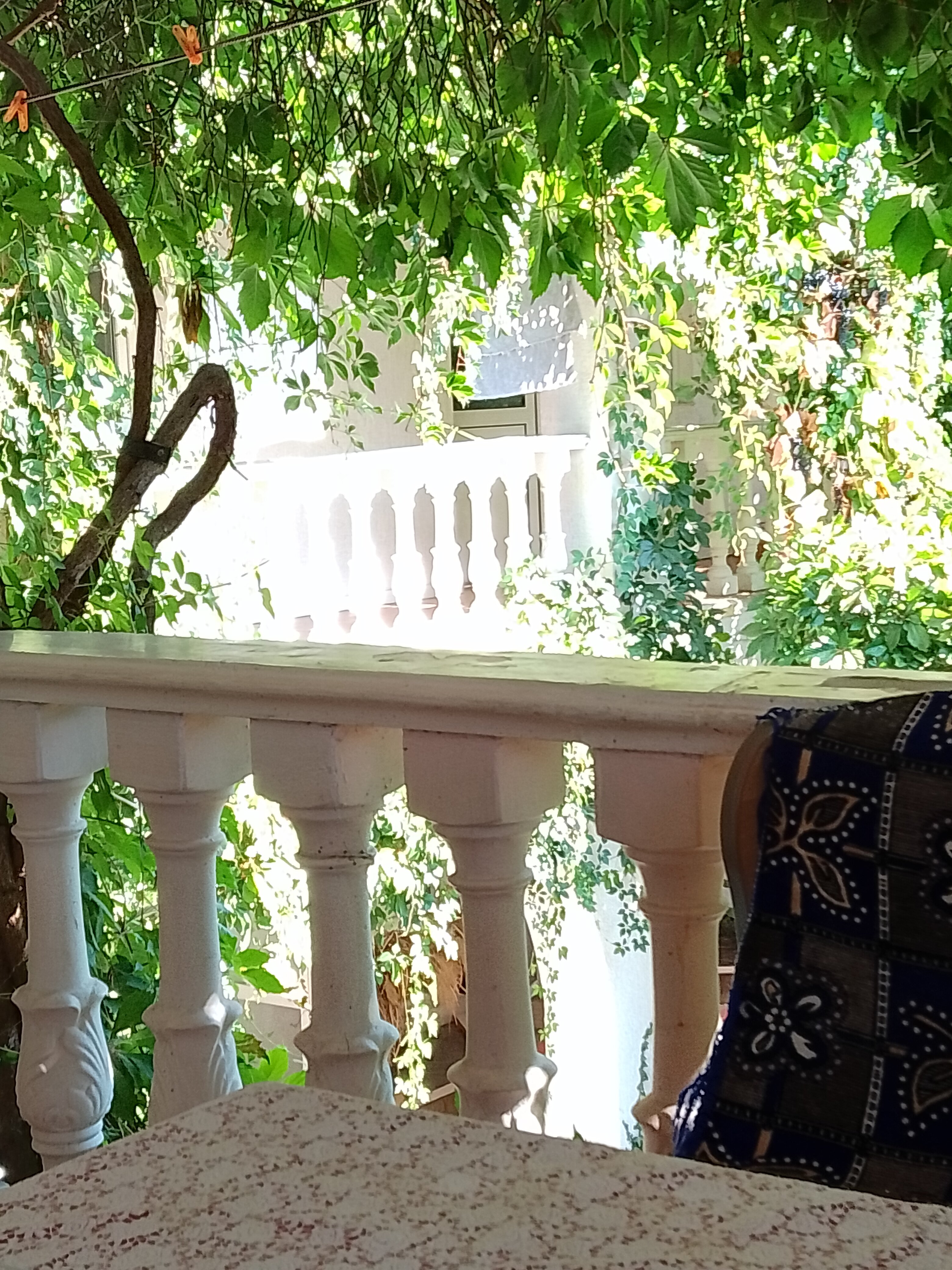 Фото Рандеву