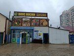 Вкус жизни (Republic of Sakha (Yakutia), Yakutsk, Petra Alekseeva Street), grocery