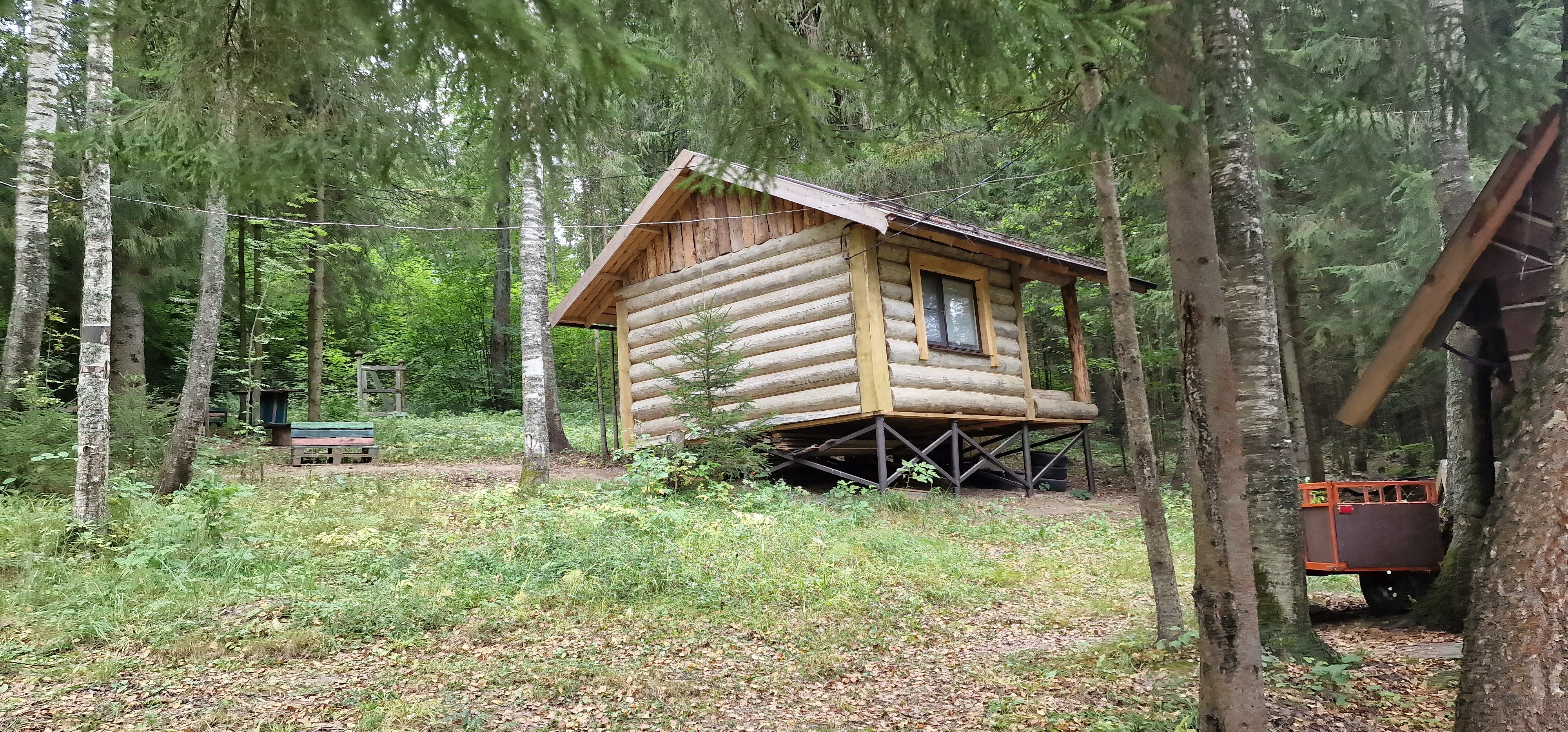 Фото У Лыжника