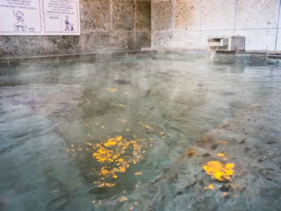 Фото Super Hotel Kyoto Shijokawaramachi