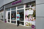Coquette (переулок Ковалёва, 32Б), perfume and cosmetics shop
