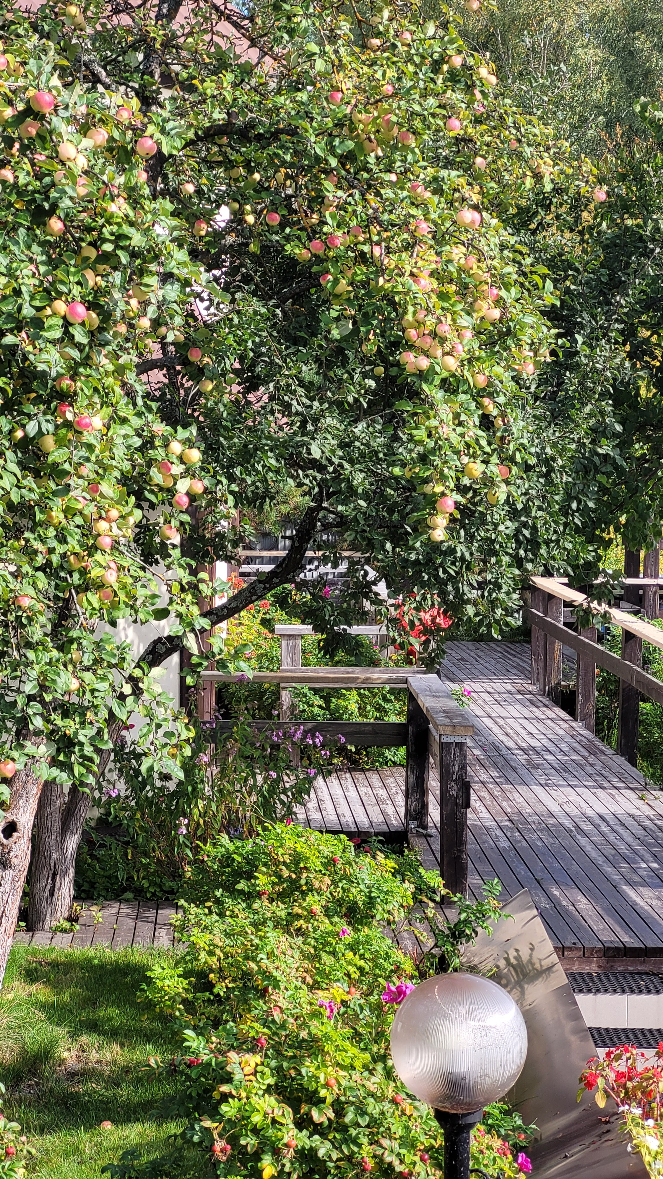 Фото Александровский Причал