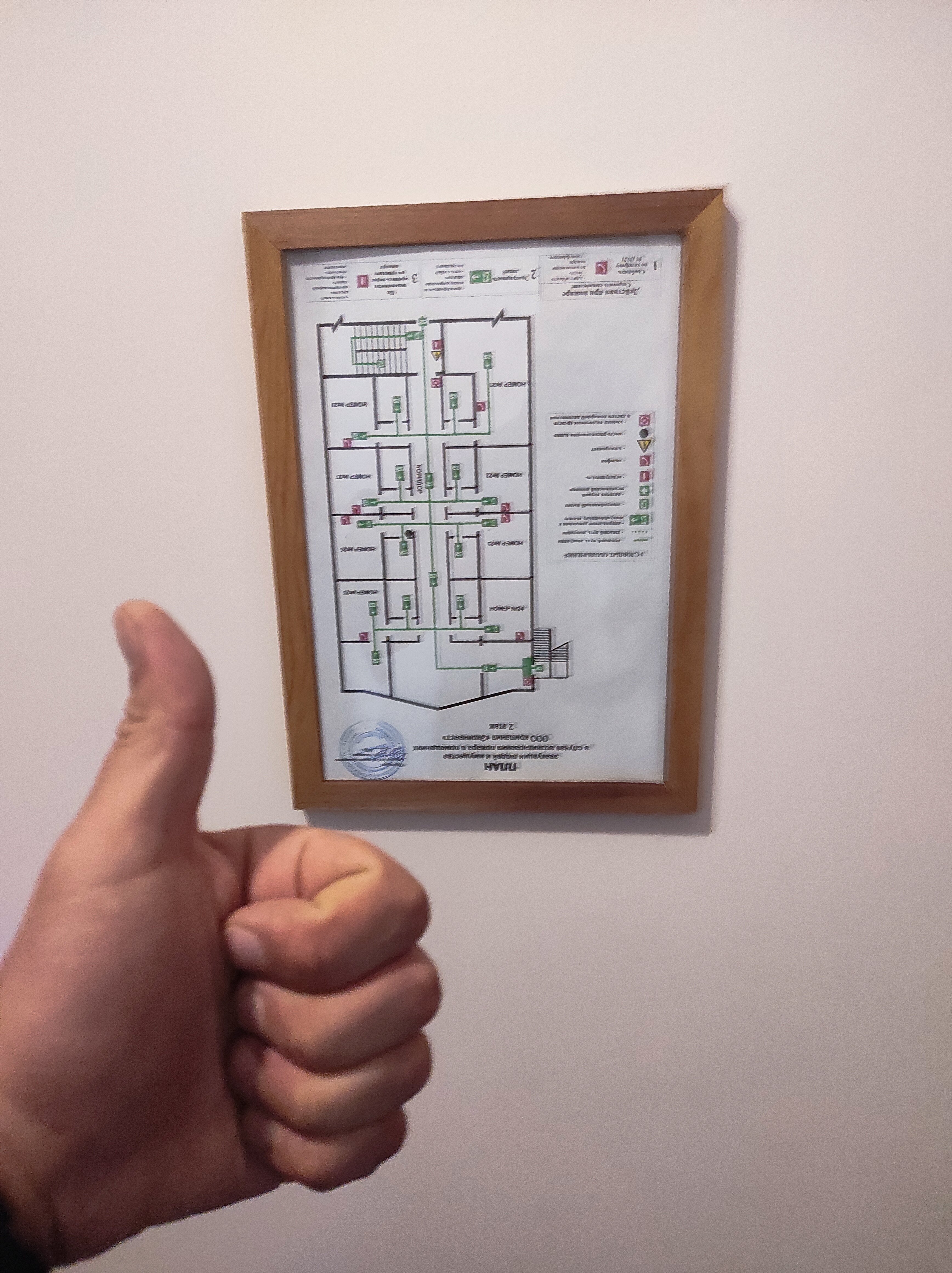 Фото Наутилус