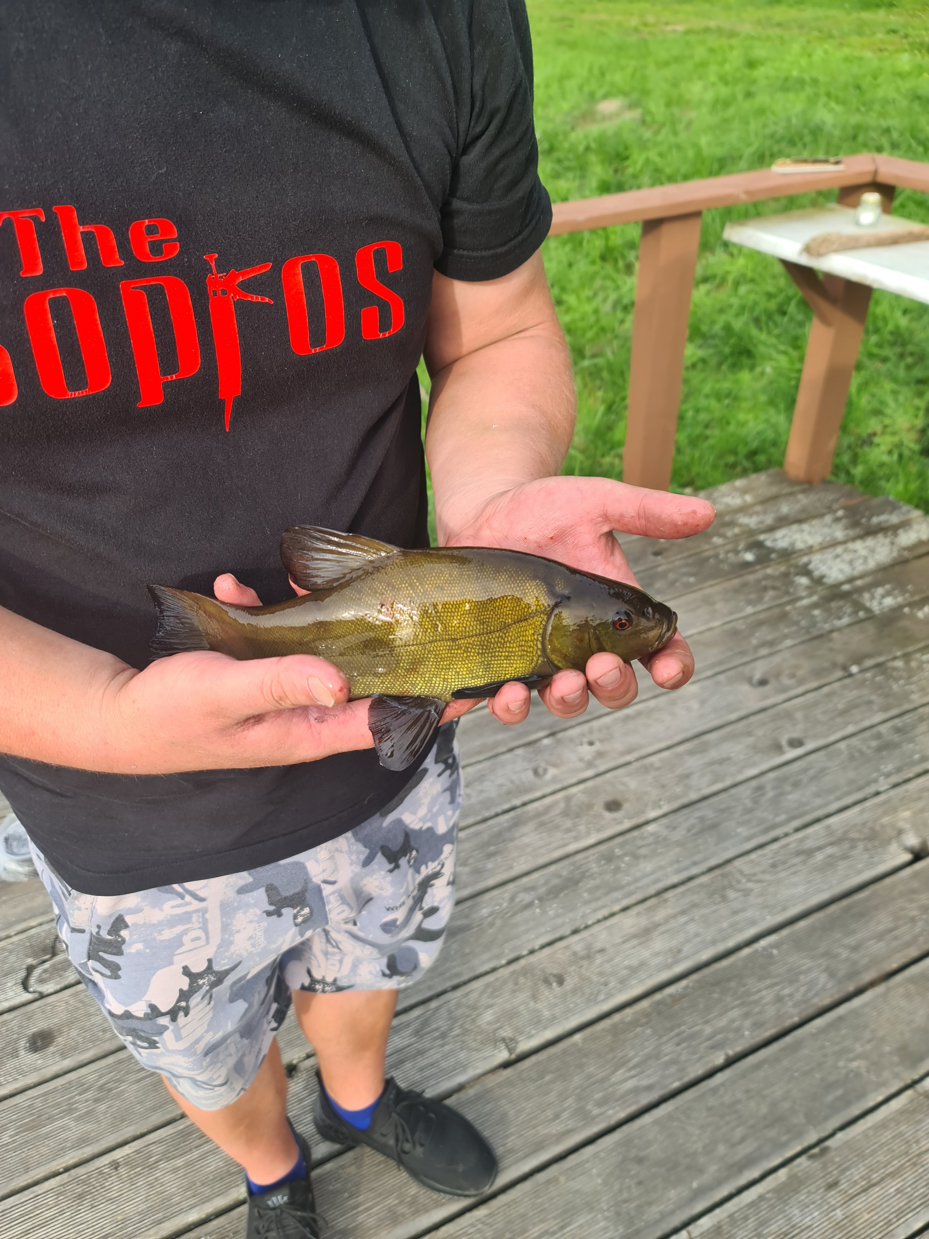 Фото Жемчужина