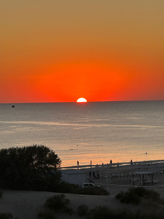 Фото Palma Soneta