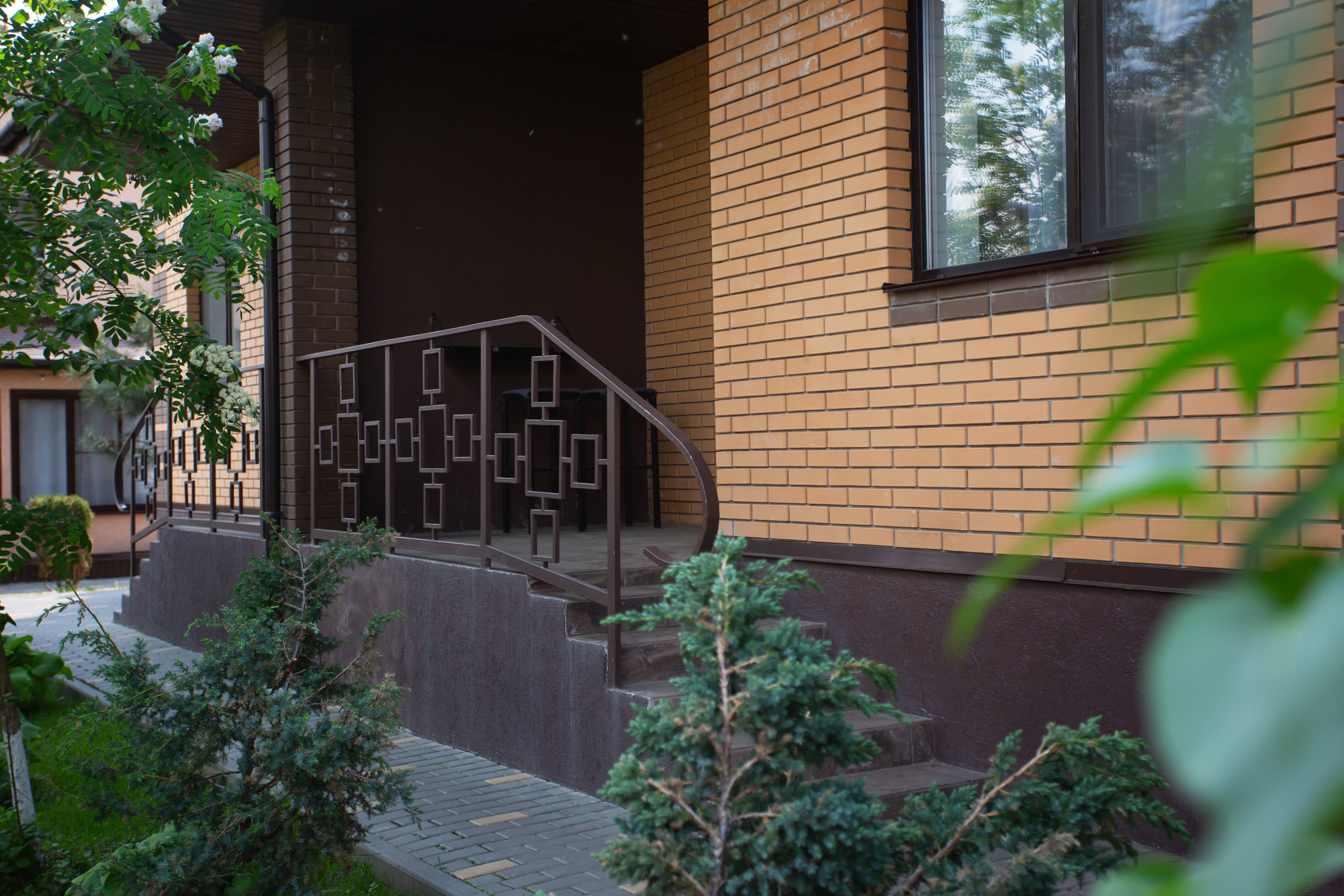 Фото Тополя