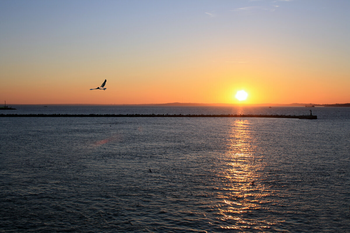 Фото ЧерноМорское