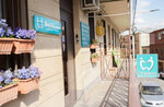 MedAlliance Clinic (Hakob Hakobyan Street, 3/2), dental polyclinic