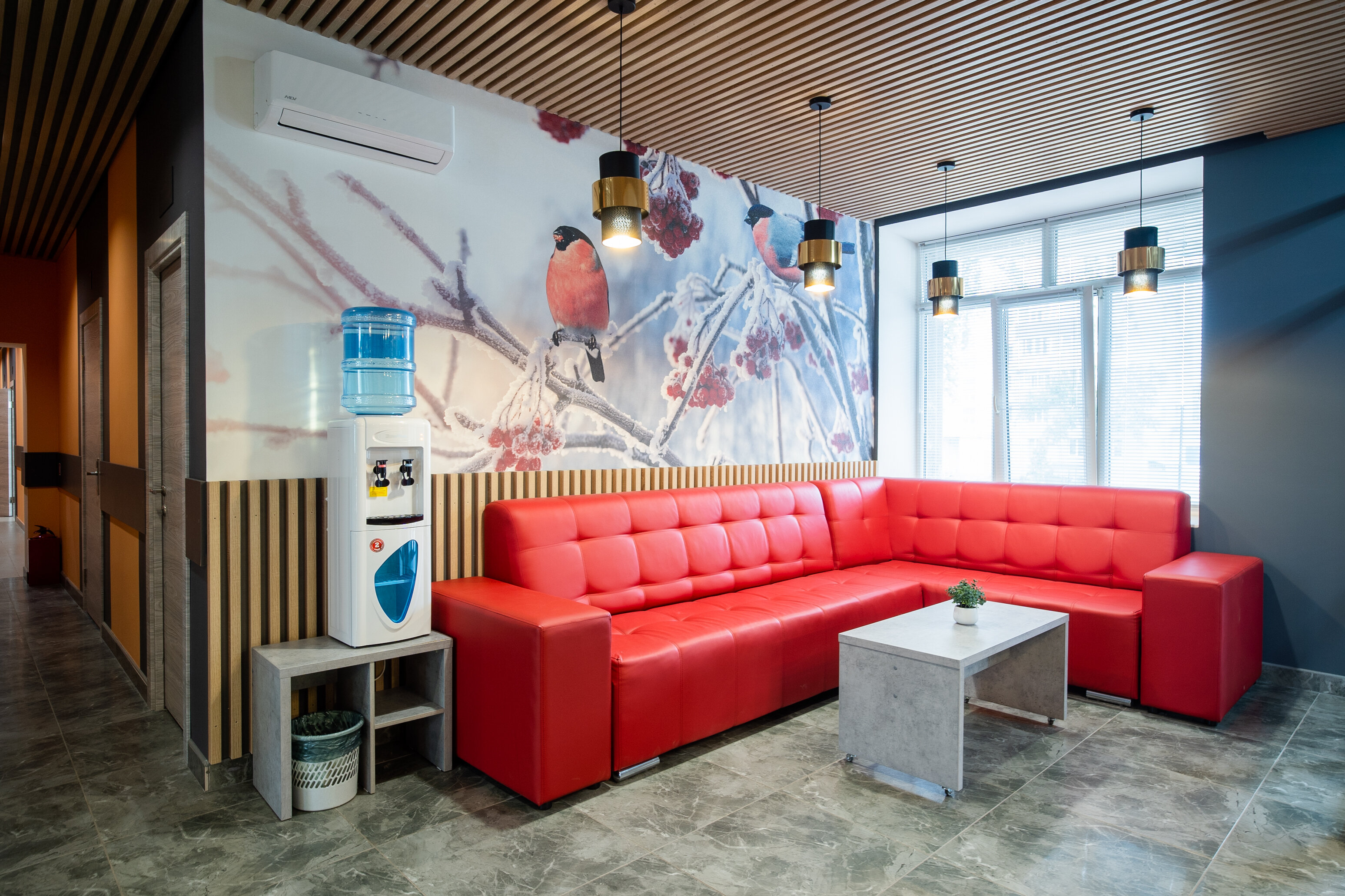 Фото Снегири