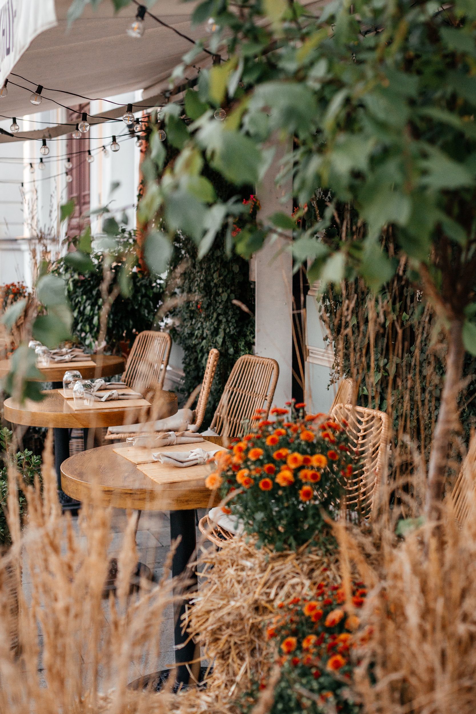 Фото Chekhoff Hotel Moscow Curio Collection by Hilton