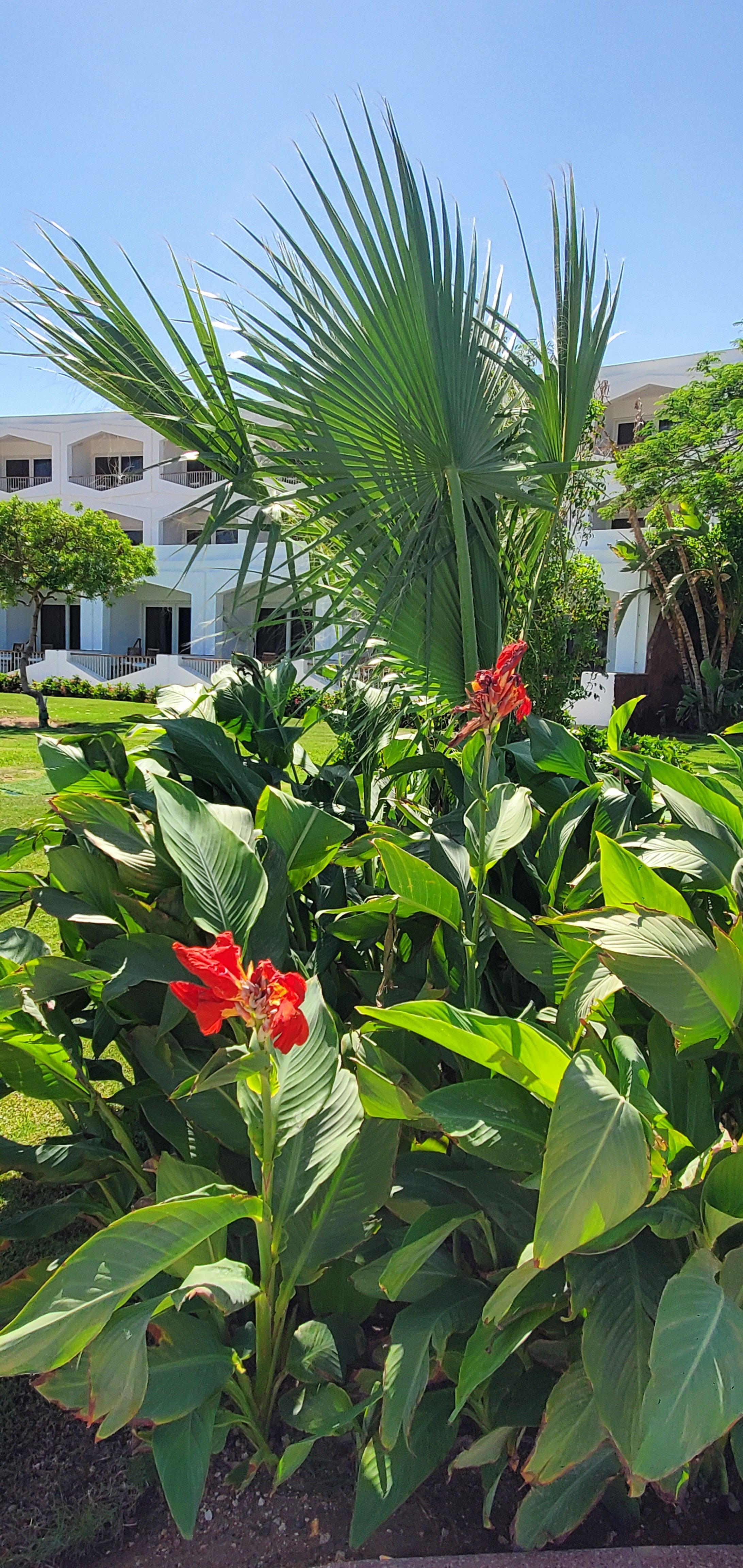 Фото Baron Resort Sharm El Sheikh