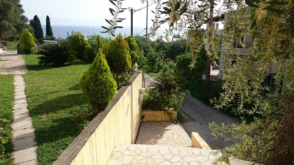 Фото Roza Studios