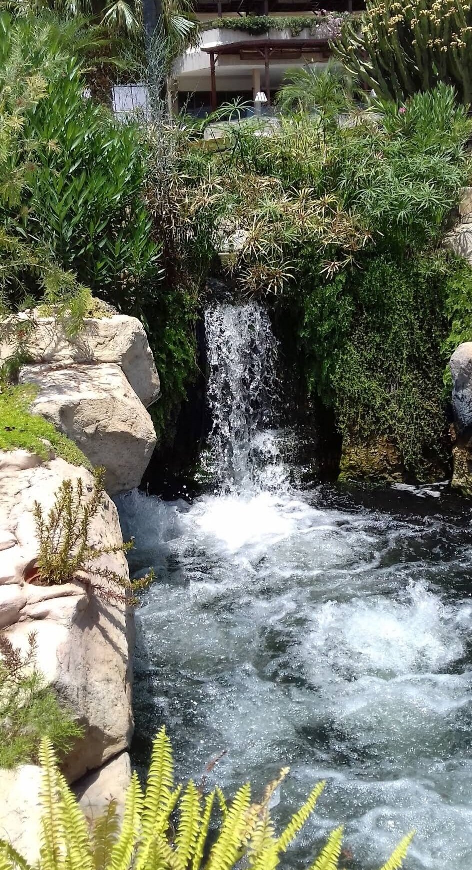 Фото Four Seasons Hotel