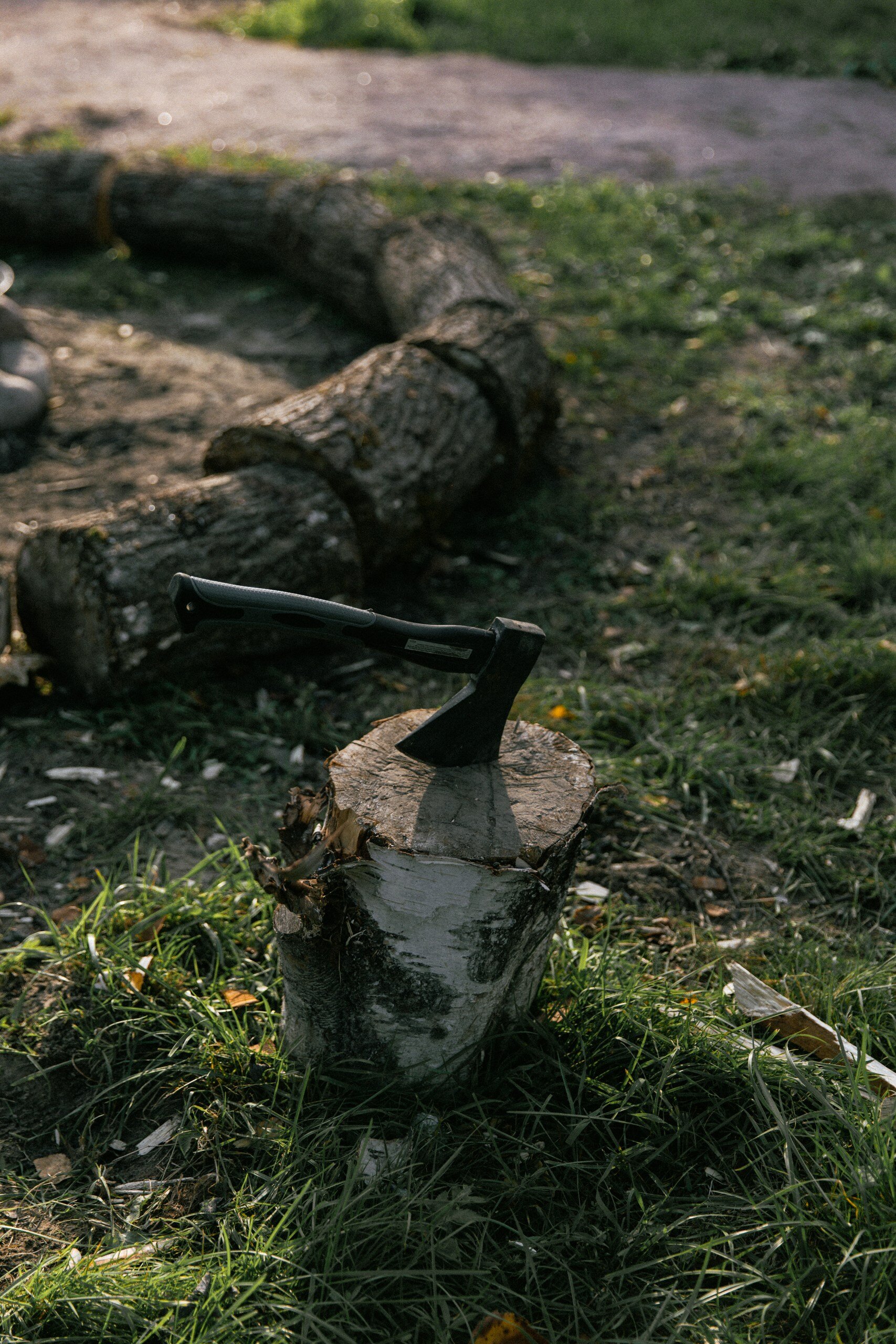 Фото Дача Вереск