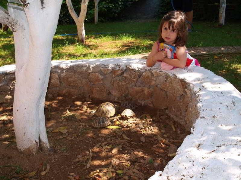 Фото Fouxia Apartments and Studios