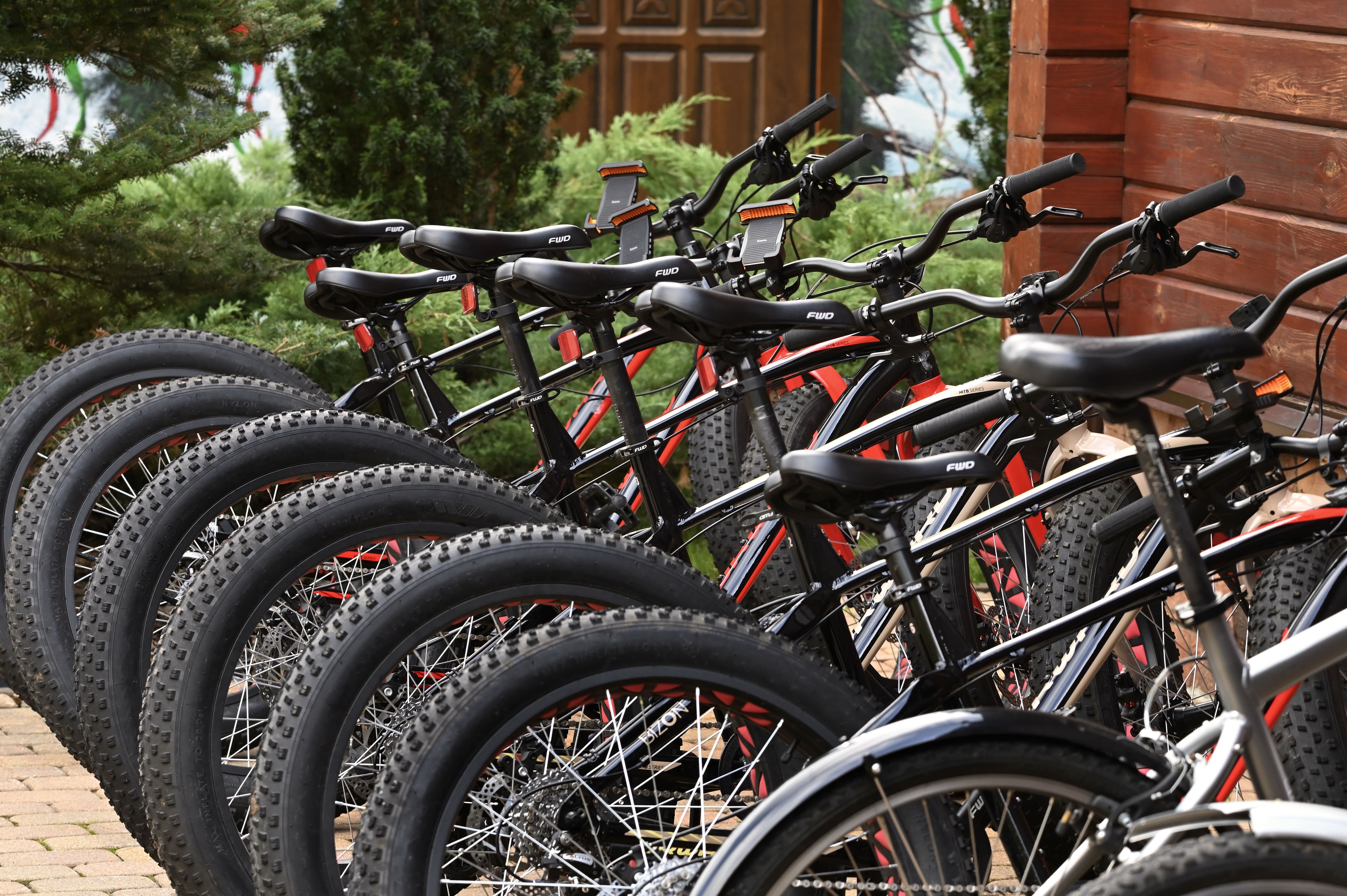 Фото Красный Бор