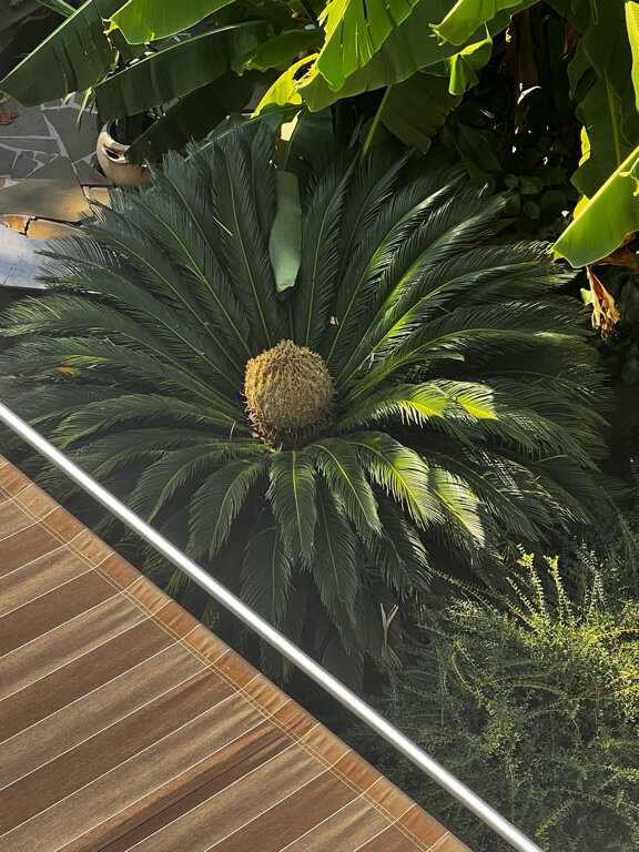 Фото Матис Аллама групп