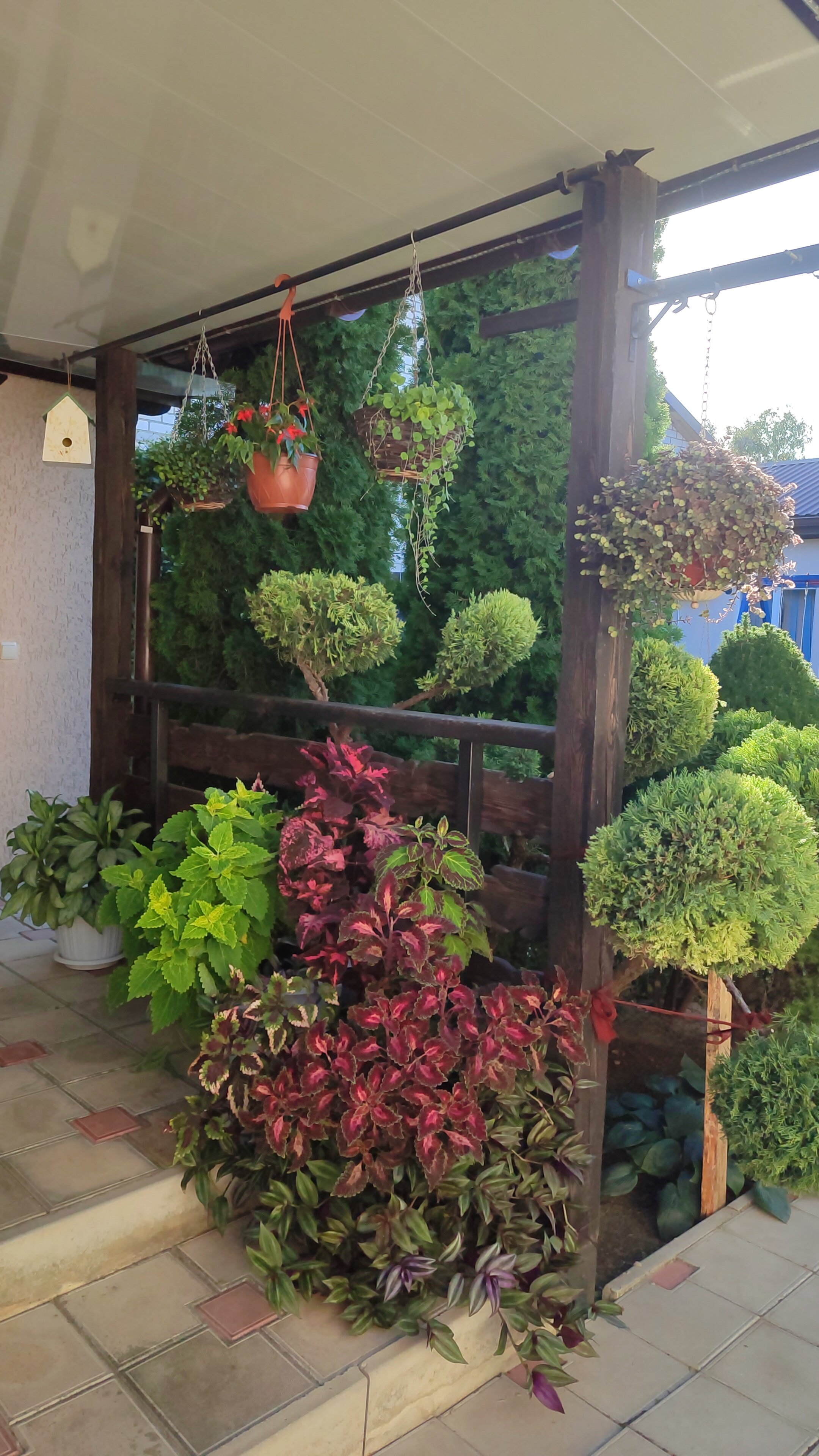 Фото Семейный