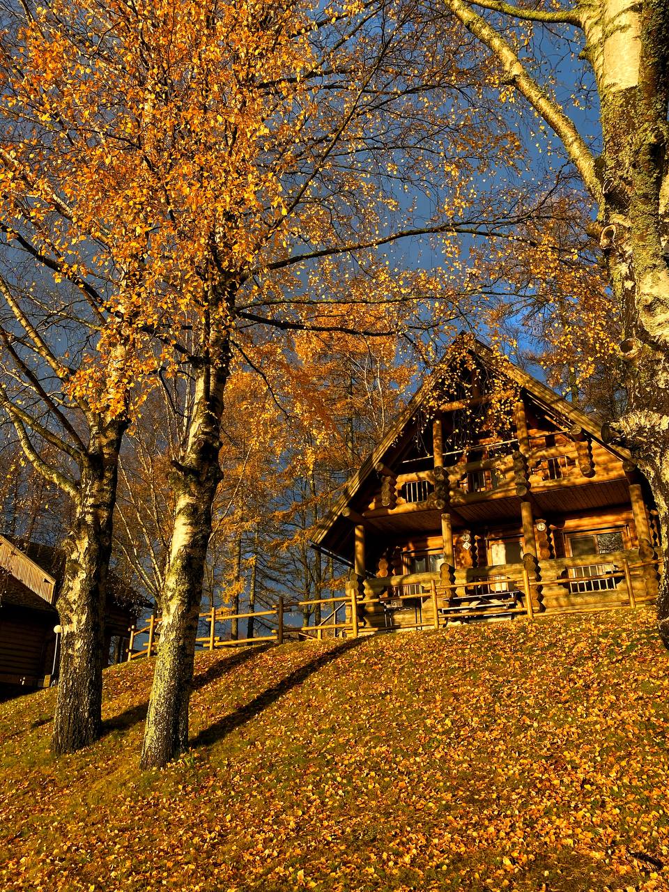 Фото Усадьба Пан Фазан