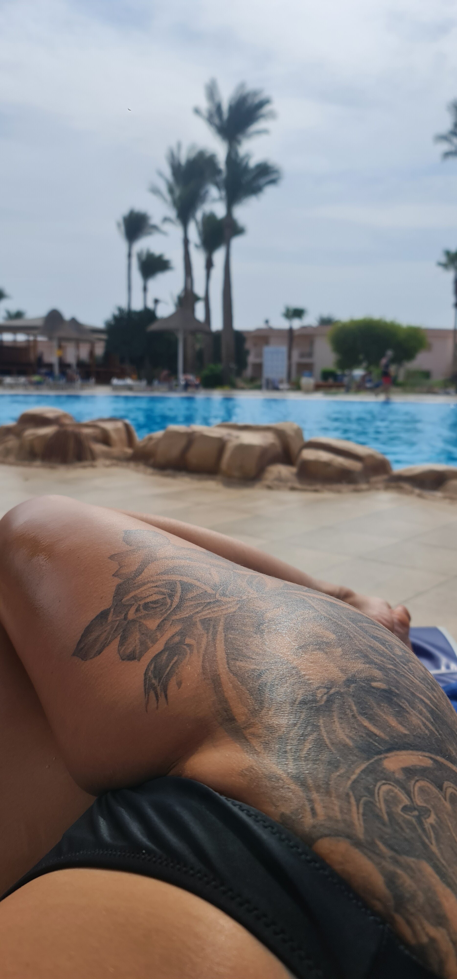 Фото Parrotel Beach Resort