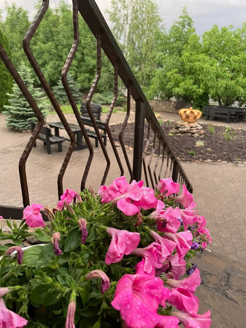 Фото Монест